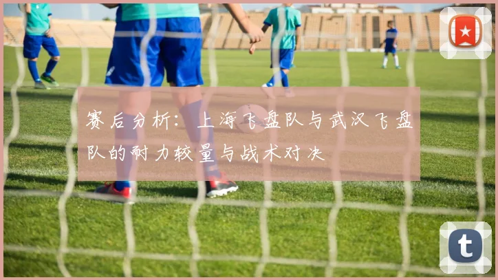 赛后分析：上海飞盘队与武汉飞盘队的耐力较量与战术对决